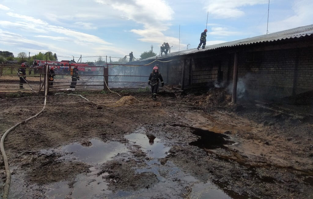 Пожар в Барановичском районе Ежоны телятник